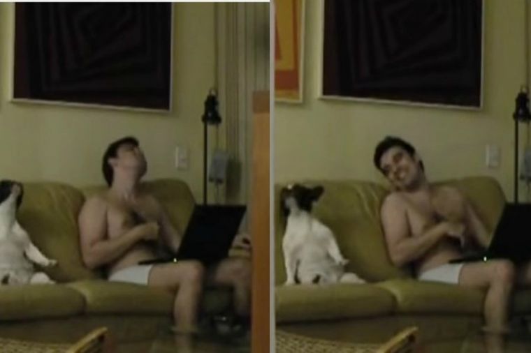 Kao da ih niko ne gleda: Pas i njegov vlasnik u donjem vešu igraju na kauču! (VIDEO)