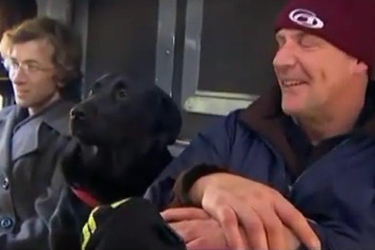 Najslađi saputnik: Pas svaki dan sam putuje autobusom do parka! (VIDEO)