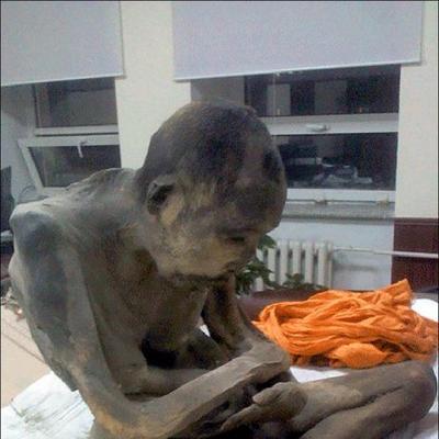 Dva veka sedi u istoj joga pozi: Pronađena mumija tibetanskog učitelja stara 200 godina! (FOTO)