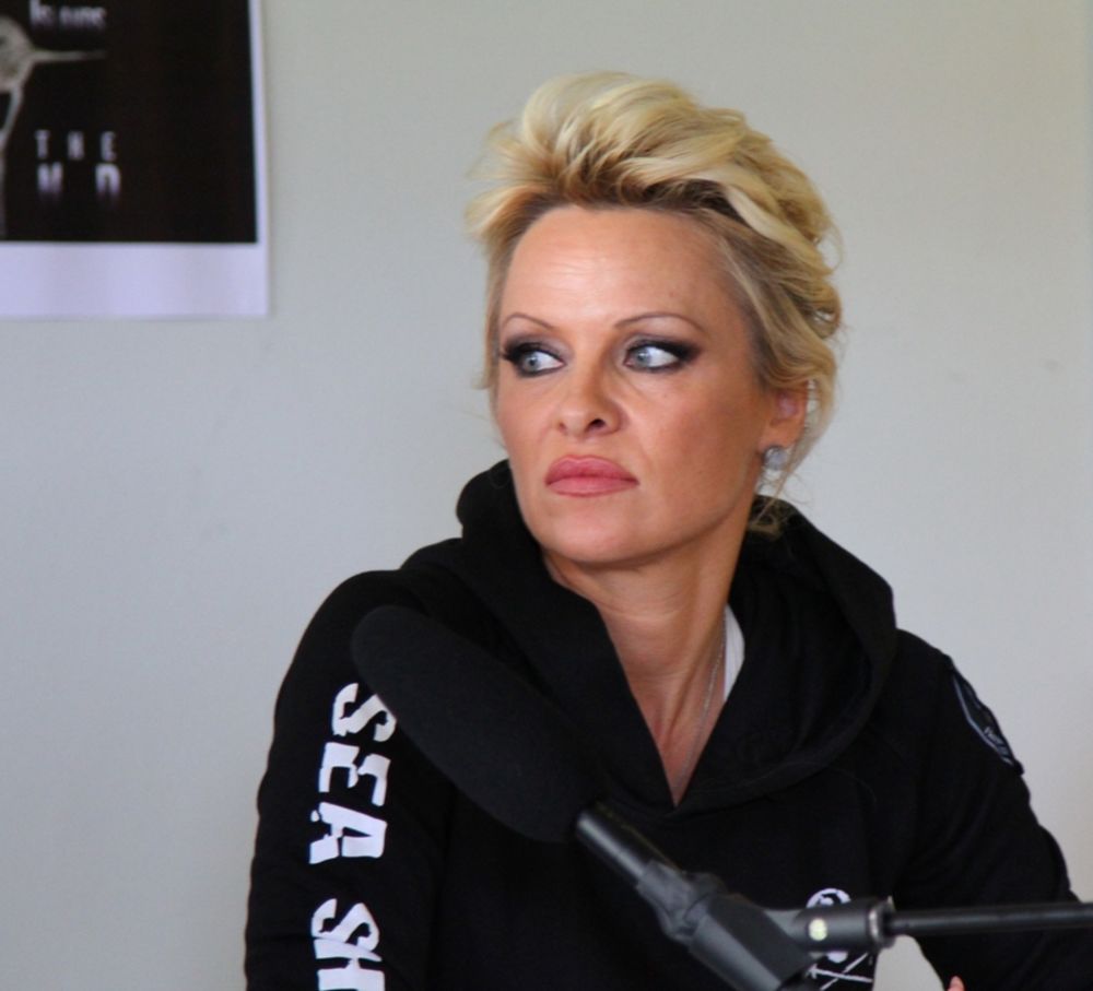 Pamela Anderson, Razvod, Rik Solomon