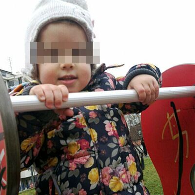 Oteta devojčica (2) pronađena u Šimanovcima: Otmičari pokušali da probiju naplatnu rampu! (FOTO)