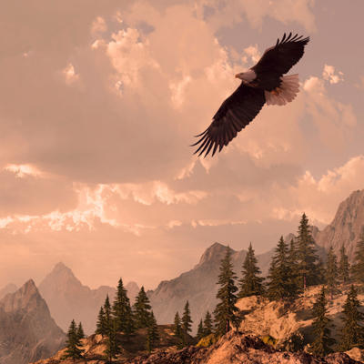 Mudra, ali teška odluka: Mit o orlu koji će vam promeniti život!