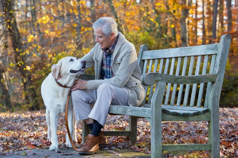 Terapija ljubavlju: Pas će vas osloboditi depresije i vratiti u život!