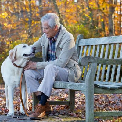 Terapija ljubavlju: Pas će vas osloboditi depresije i vratiti u život!