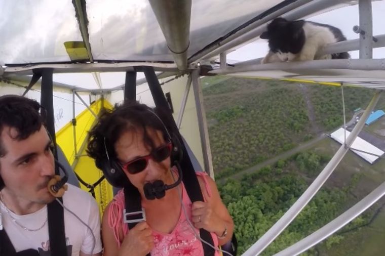 Mačka koja je srušila internet: Slepi putnik na krilima aviona! (VIDEO)