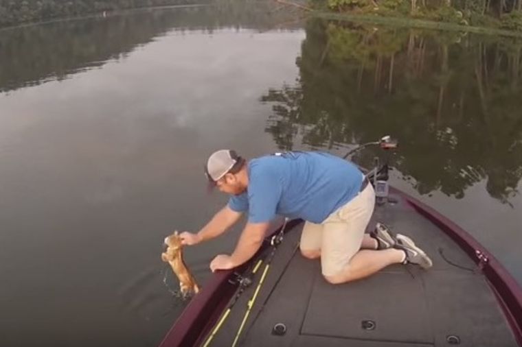 Herojski čin: Otišli da pecaju, a na kraju vadili sirote mačiće iz vode! (VIDEO)