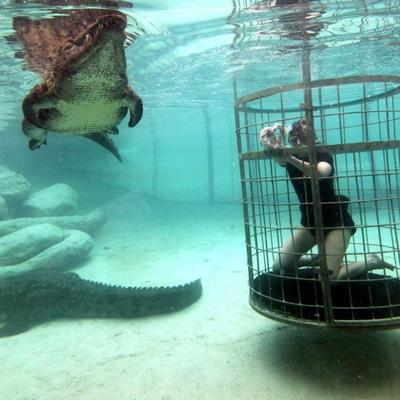 Plivanje sa krokodilima: Zašto turisti iz celog sveta žele da posete Južnu Afriku! (FOTO)