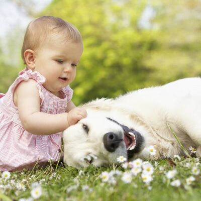 Prvi prijatelj, podrška, čuvar zdravlja: Zašto deca treba da odrastaju uz psa