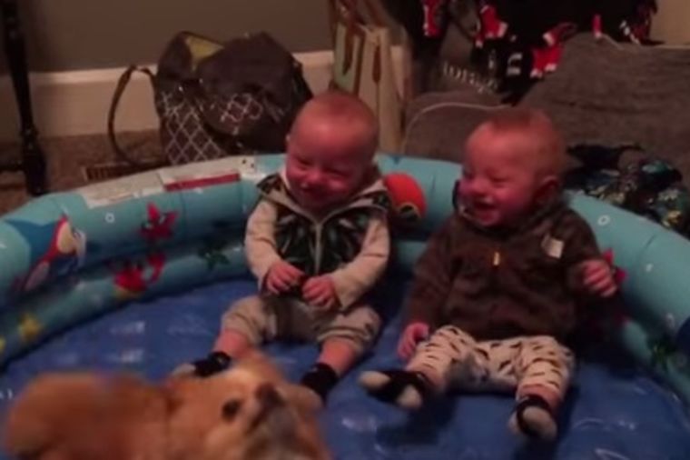 Vrištaćete od smeha: Dva dečaka i kuče ulepšaće vam dan! (VIDEO)