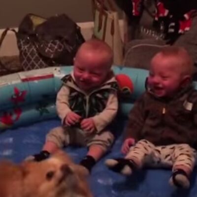 Vrištaćete od smeha: Dva dečaka i kuče ulepšaće vam dan! (VIDEO)