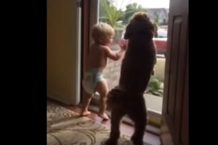 Ludi ples zvani tata dolazi: Presrećna beba objasnila šta znači radost! (VIDEO)