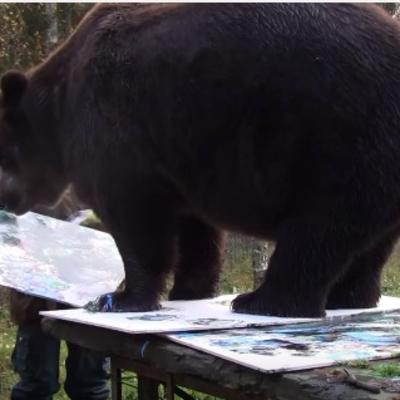 Jedinstveni slikar: Medved Juso do sad prodao 6 dela! (VIDEO)
