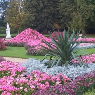100 najlepših vrtova na svetu: Ljubitelji cveća, uživajte u pogledu! (VIDEO)