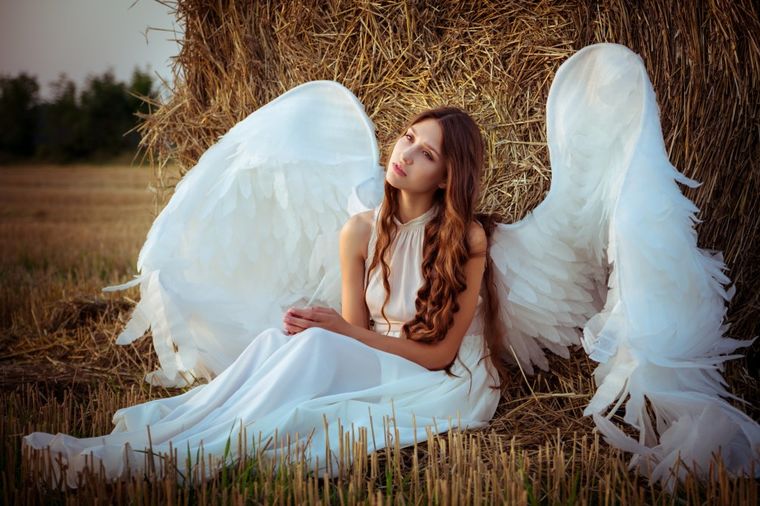 Razgovor anđela i Boga: Uputstvo za život čiste savesti i mirne duše!