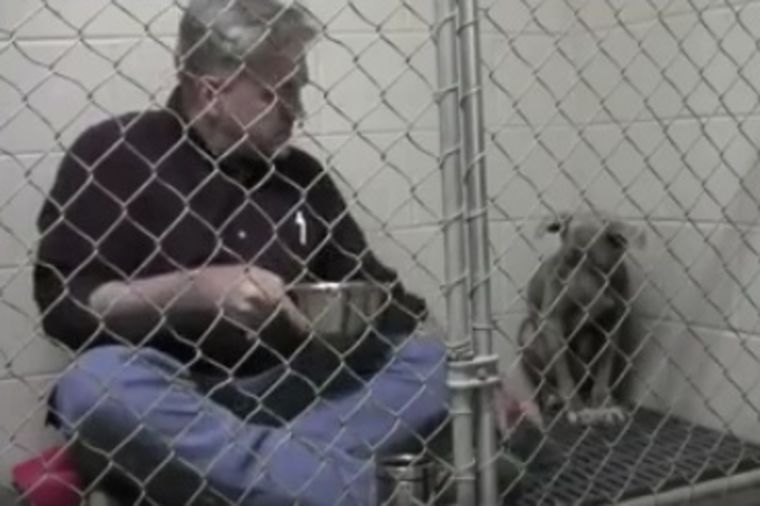Tuga zlostavljane male kuje: Ono što veterinar radi za nju će vas rasplakati! (FOTO, VIDEO)