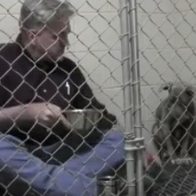 Tuga zlostavljane male kuje: Ono što veterinar radi za nju će vas rasplakati! (FOTO, VIDEO)