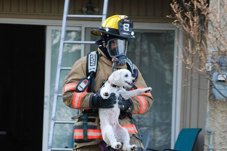Vatrogasci spasili kucu iz požara: Odužila im se na neverovatan način! (FOTO)