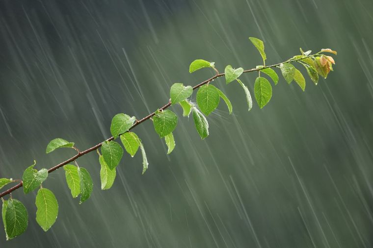 Počinje prava jesen: U većem delu Srbije danas olujni vetar, kiša i pad temperature!