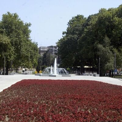 Beograd: U Tašmajdanskom parku postavljena prva klupa za dojenje u javnosti!