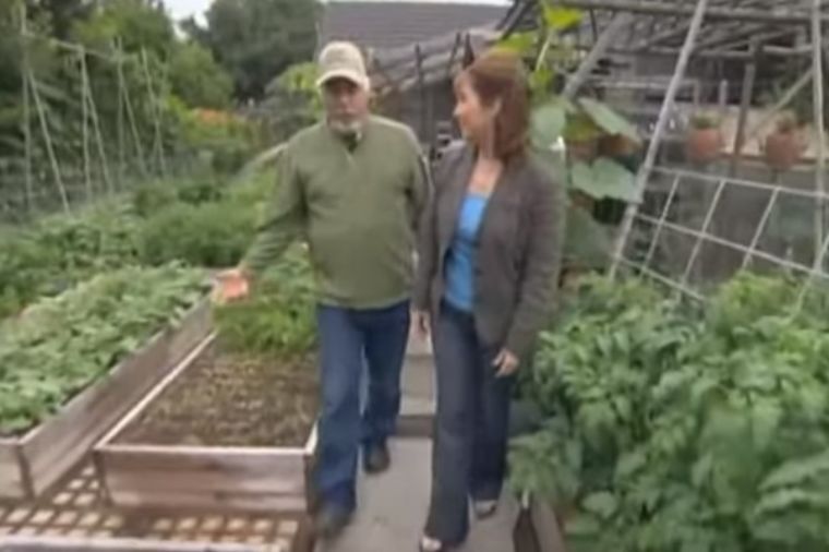 Pre 10 godina napravili mali vrt: Danas njihovo imanje izgleda neverovatno! (VIDEO)