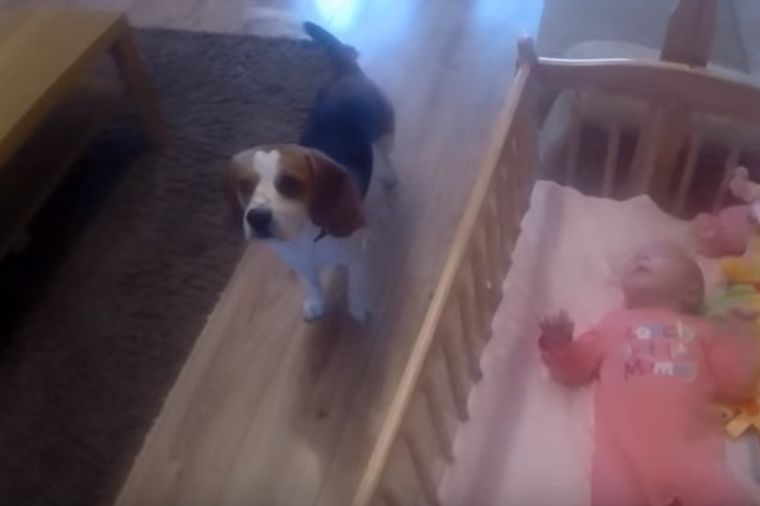 Čuli su bebin plač: Kada su ušli u njenu sobu, imali su šta da vide! (VIDEO)