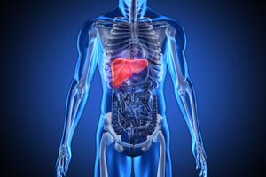 Kad osetite da vas jetra boli veliki je crveni alarm: Može biti simptom 10 opakih bolesti koje rapidno uništavaju telo