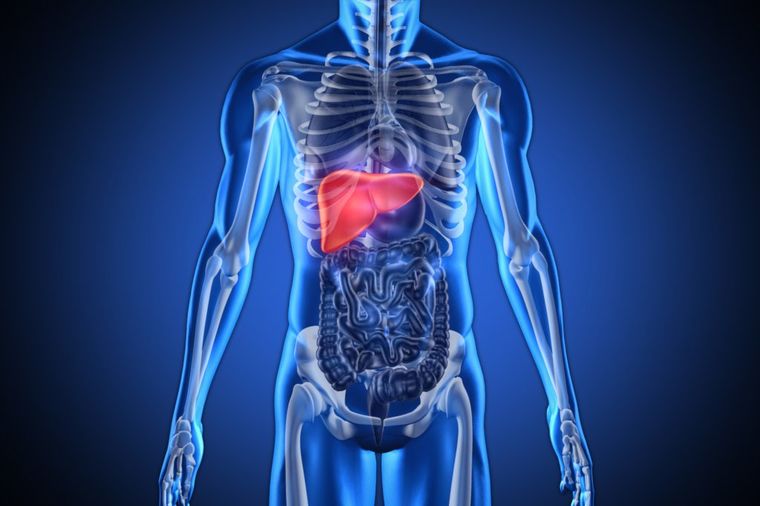 15 znakova da jetra ne radi kako treba: Evo kako da oporavite ovaj najvažniji organ u telu! (RECEPT)