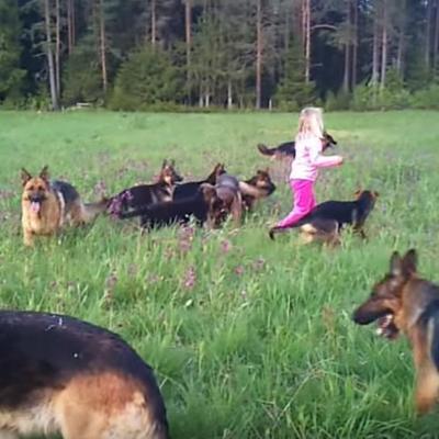 Otac ostavio ćerku sa 14 pasa: Ovakav prizor nije očekivao! (VIDEO)