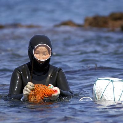 Ovo je poslednja generacija živih sirena: Imaju preko 70 godna, ali su u vodi brze kao strele!(FOTO)
