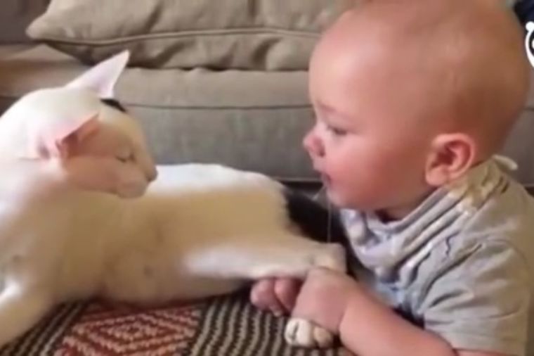 Roditelji nisu znali kako će mačka da reaguje na bebu: Ovakvo ponašanje nisu očekivali! (VIDEO)