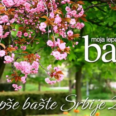 Novi broj magazina Moja lepa bašta otkriva: Ko ima najlepšu baštu u Srbiji u 2016. godini! (VIDEO)
