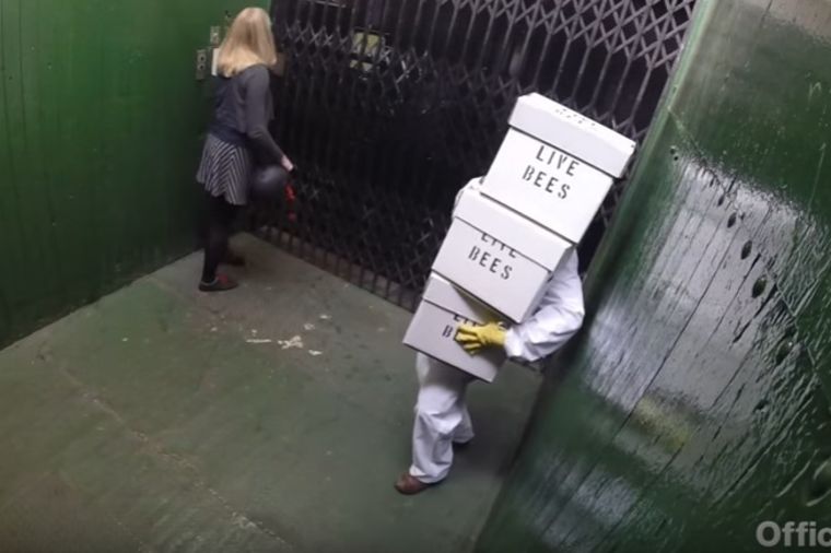 Ušao je u lift sa tri kutije pčela: Minut kasnije nastalo je čisto ludilo! (VIDEO)
