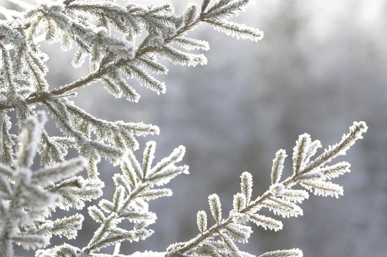 Do kraja januara mraz i hladnoća: Najviša temperatura -4!