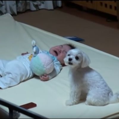 Beba je počela da plače: Pogledajte neverovatnu reakciju psa! (VIDEO)