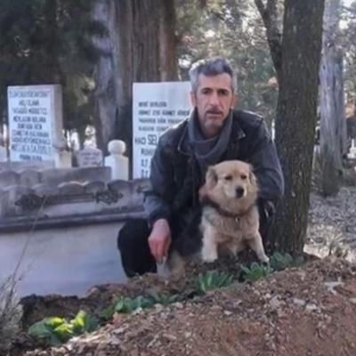 Na sahrani vlasnika bio je neutešan: Veran pas svaki dan posećuje njegov grob! (FOTO, VIDEO)