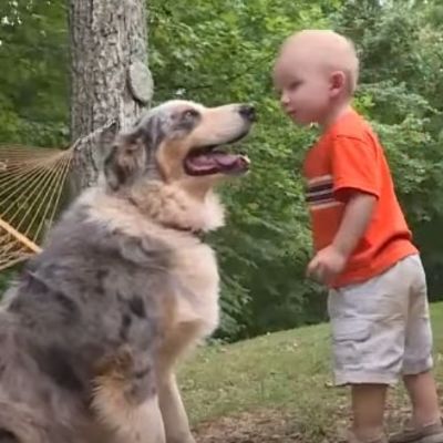 Otac gledao kako pas juri na njegovog sina: U trenutku shvatio jezivu istinu! (VIDEO)