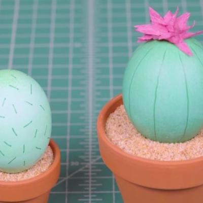 Kaktus uskršnja jaja za prave baštovane: Ukrašavanje koje do sada niste videli! (VIDEO)