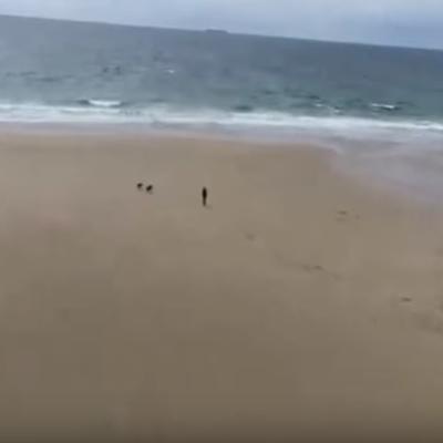 Čudo nad čudima: Pojavila se peščana plaža nestala pre 33 godine! (VIDEO)