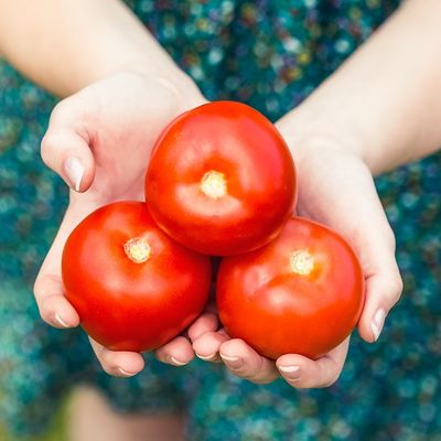 5 supermoći paradajza: Nemate pojma šta sve može da izleči!