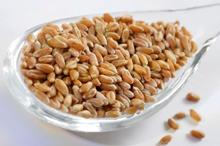 Čudo iz kuhinje: Ovo seme snižava holesterol i poboljšava probavu!