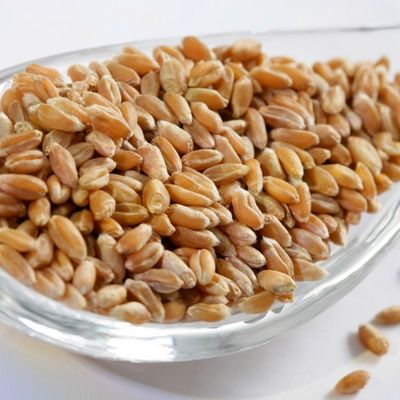 Čudo iz kuhinje: Ovo seme snižava holesterol i poboljšava probavu!