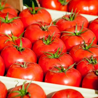 Svemoćni paradajz: Leči celo telo i obogaćuje svako jelo!