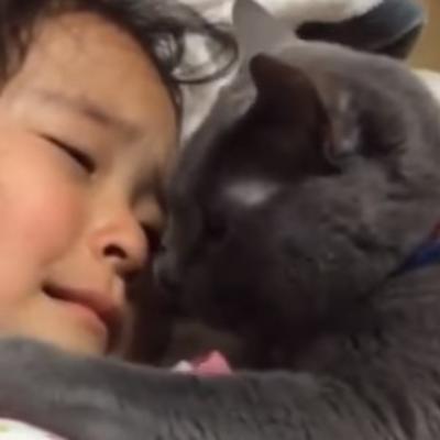 Maca teši uplakanu devojčicu: Ovo je nešto najslađe što ćete videti danas! (VIDEO)