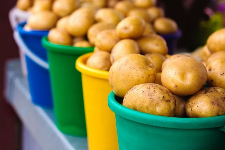 Kako da vam krompir ne proklija brzo: Super trik za sve domaćice!