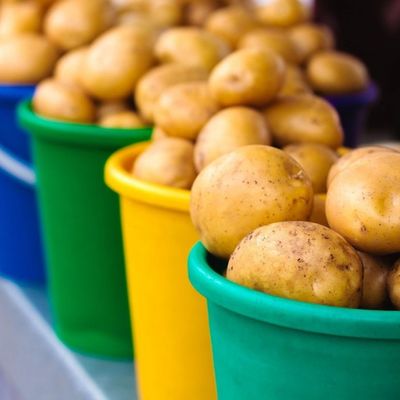 Kako da vam krompir ne proklija brzo: Super trik za sve domaćice!