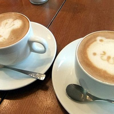 Kafa kao iz kafića: Pogledajte kako da našarate kafu kao pravi profesionalac