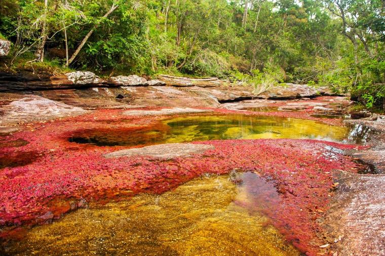 Ovo samo priroda može: Reka duginih boja, fenomen koji hipnotiše! (FOTO)