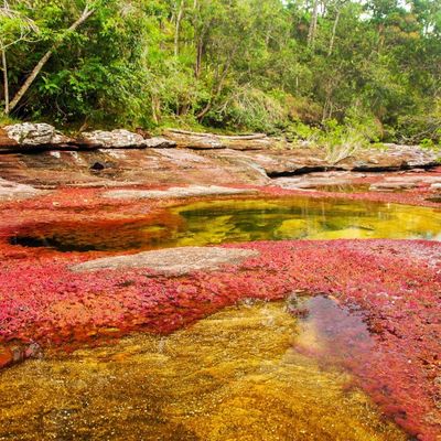 Ovo samo priroda može: Reka duginih boja, fenomen koji hipnotiše! (FOTO)
