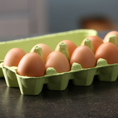 Celog života bacate kutije od jaja: Nikada vam ne bi palo na pamet da ih iskoristite ovako! (VIDEO)