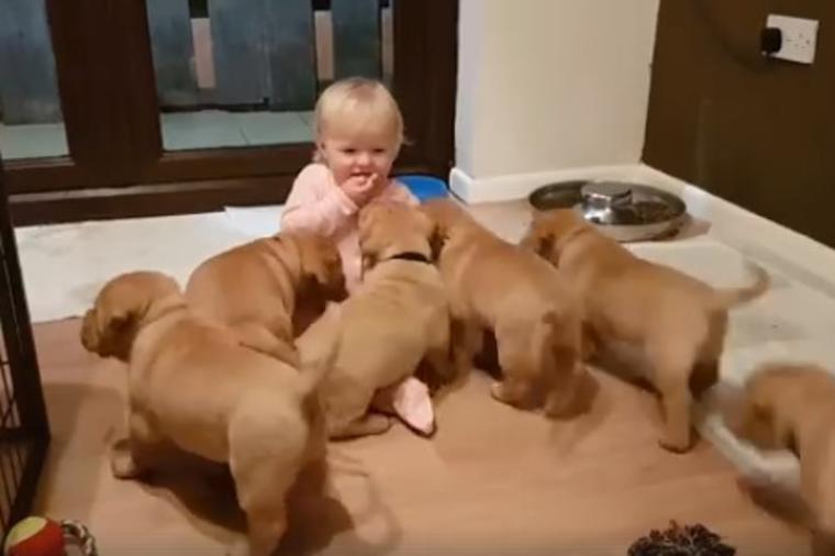 Beba nije htela da podeli kolačić sa štencima: Njihova reakcija je urnebesna! (VIDEO)